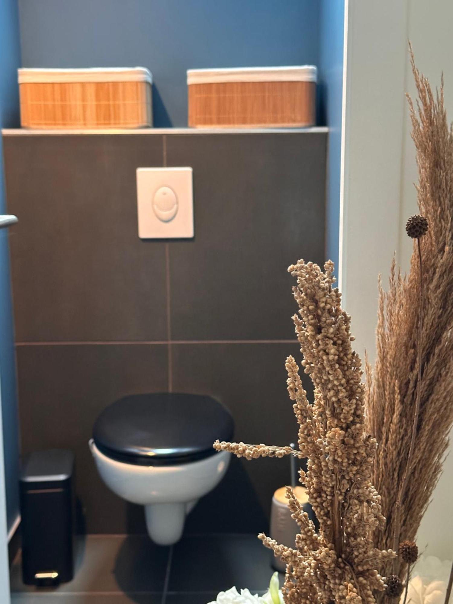 Les Libellules Apartment Lanvallay Ngoại thất bức ảnh